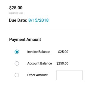Autobooks payment details screen.